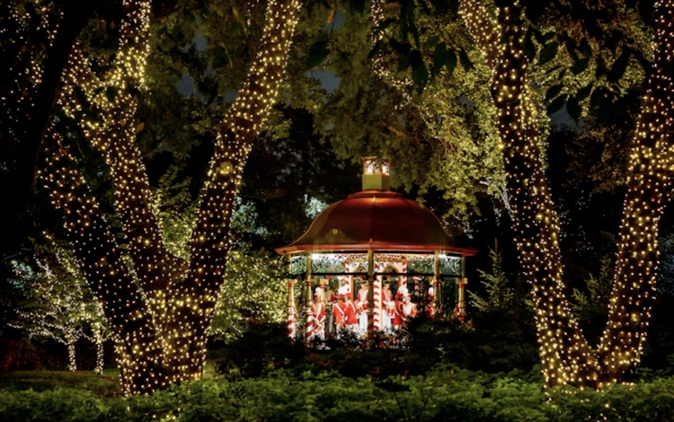 必見！ダラスでみれるクリスマスイルミネーションをご紹介 — Gephyro